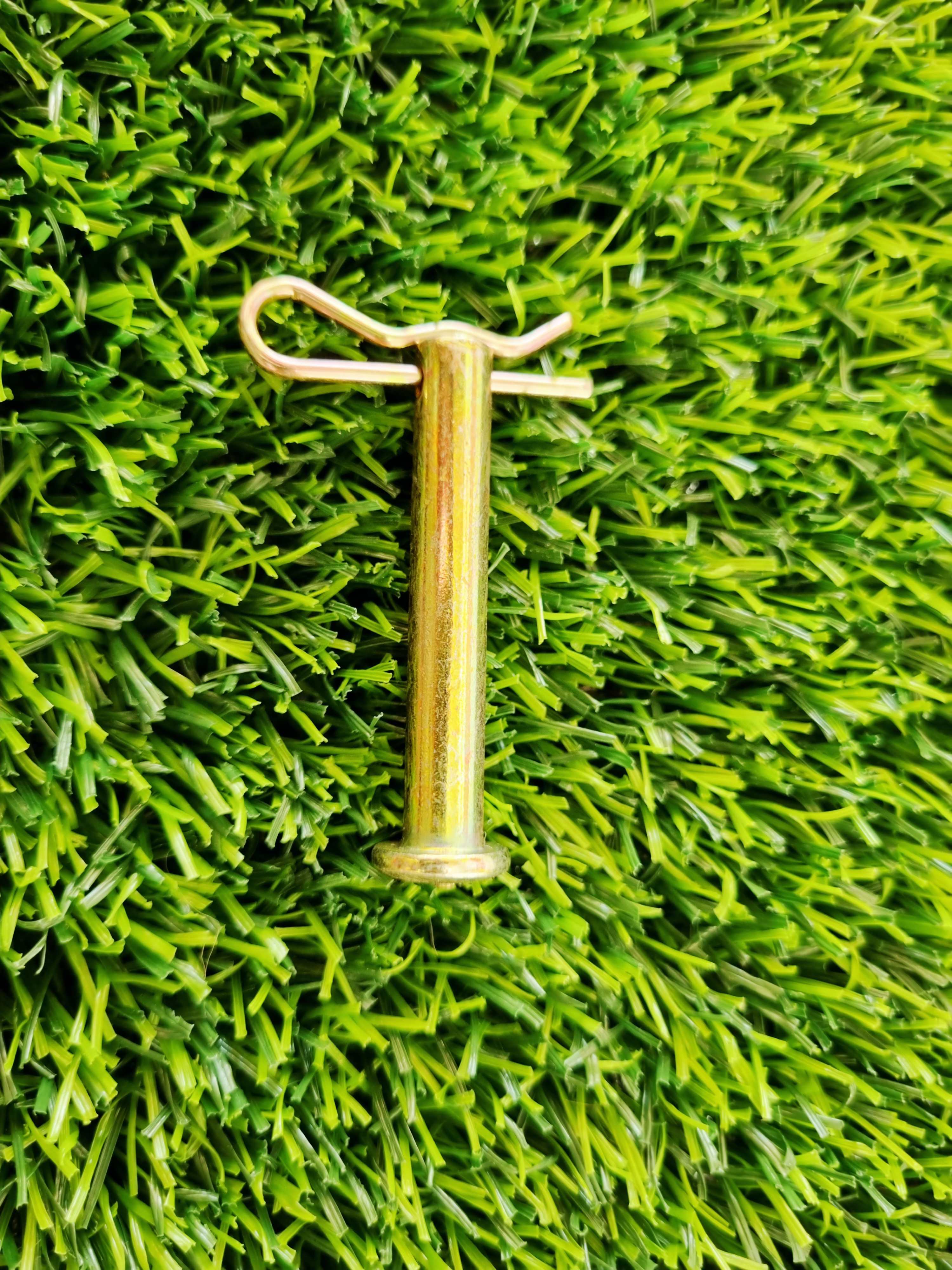 پین و اشپیل دیزلی